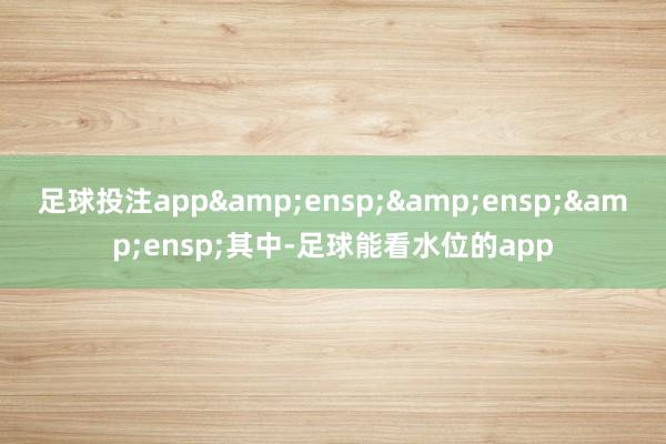 足球投注app   其中-足球能看水位的app