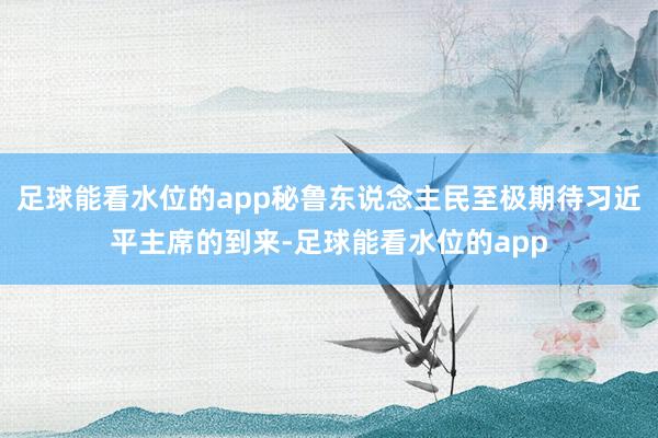足球能看水位的app秘鲁东说念主民至极期待习近平主席的到来-足球能看水位的app