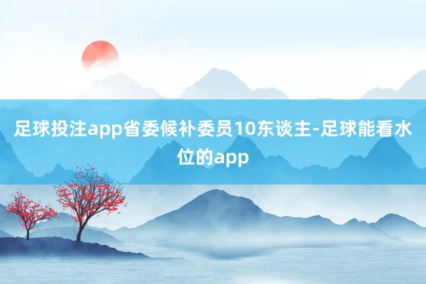 足球投注app省委候补委员10东谈主-足球能看水位的app