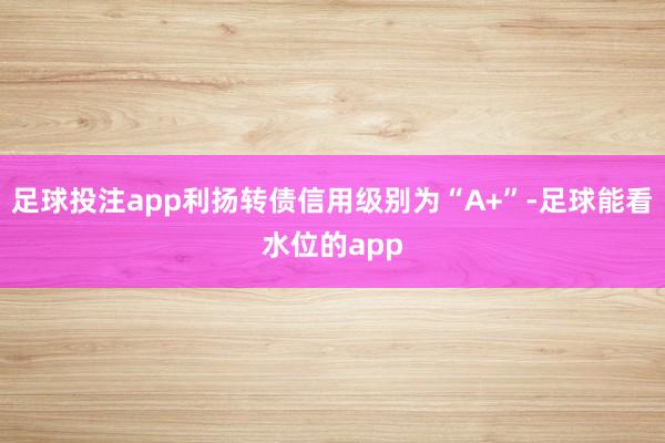 足球投注app利扬转债信用级别为“A+”-足球能看水位的app