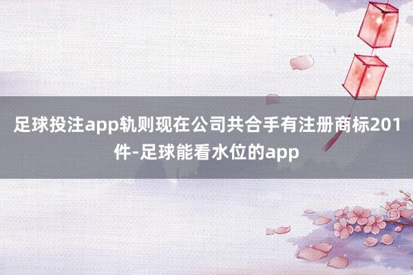 足球投注app轨则现在公司共合手有注册商标201件-足球能看水位的app