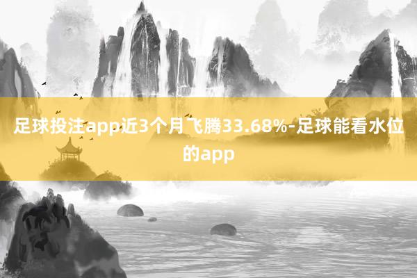 足球投注app近3个月飞腾33.68%-足球能看水位的app