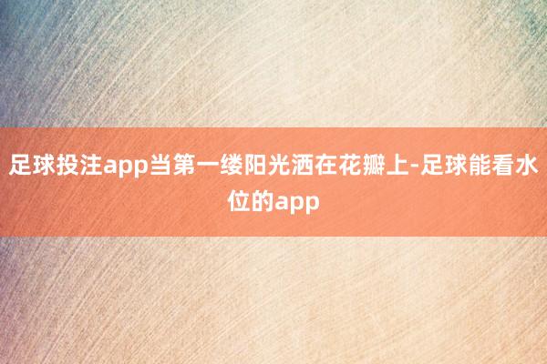 足球投注app当第一缕阳光洒在花瓣上-足球能看水位的app