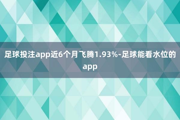 足球投注app近6个月飞腾1.93%-足球能看水位的app