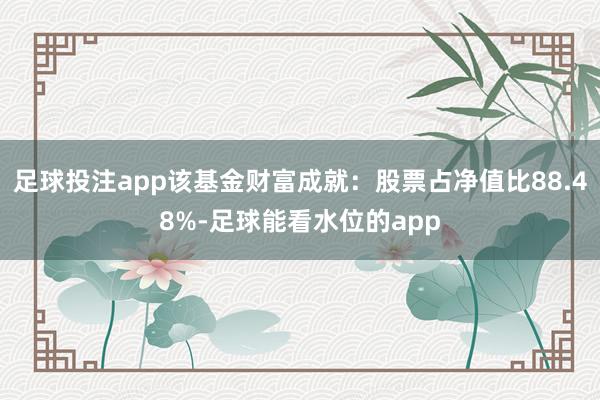 足球投注app该基金财富成就：股票占净值比88.48%-足球能看水位的app