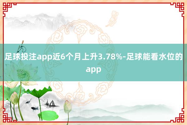 足球投注app近6个月上升3.78%-足球能看水位的app