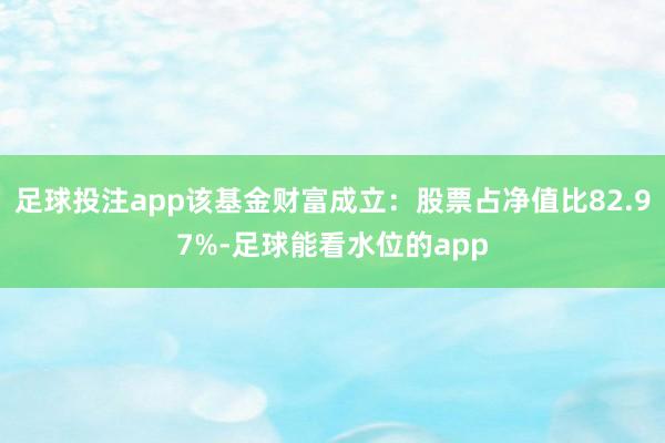 足球投注app该基金财富成立：股票占净值比82.97%-足球能看水位的app