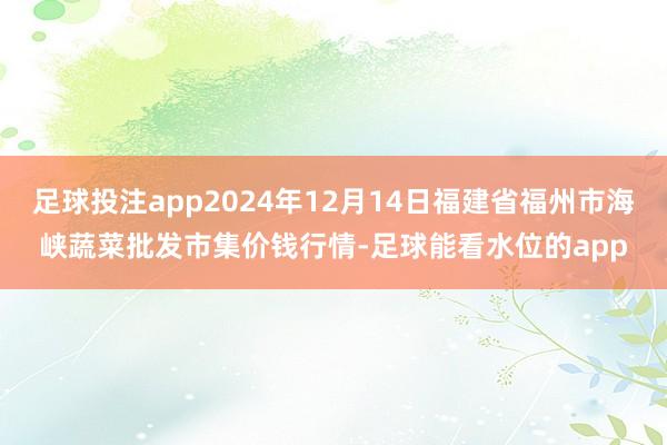 足球投注app2024年12月14日福建省福州市海峡蔬菜批发市集价钱行情-足球能看水位的app