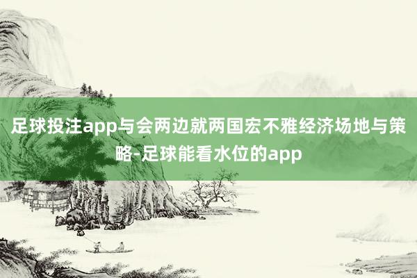 足球投注app与会两边就两国宏不雅经济场地与策略-足球能看水位的app