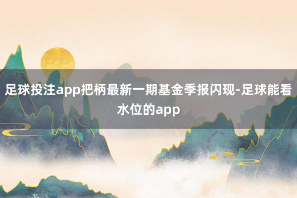 足球投注app把柄最新一期基金季报闪现-足球能看水位的app