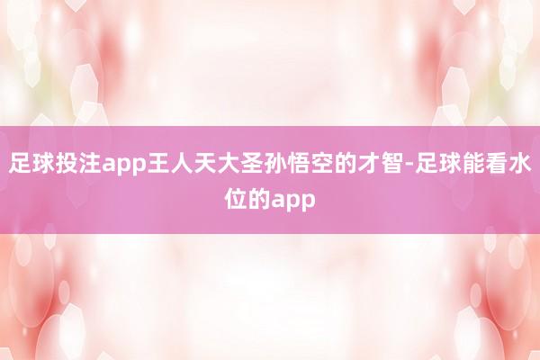 足球投注app王人天大圣孙悟空的才智-足球能看水位的app