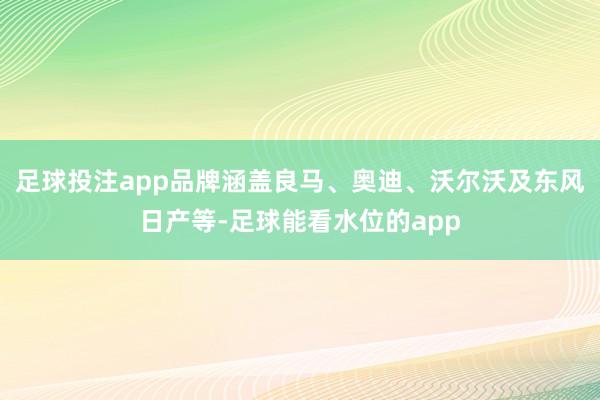 足球投注app品牌涵盖良马、奥迪、沃尔沃及东风日产等-足球能看水位的app