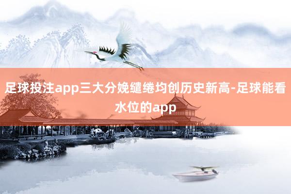 足球投注app三大分娩缱绻均创历史新高-足球能看水位的app