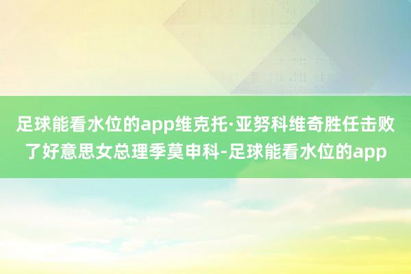足球能看水位的app维克托·亚努科维奇胜任击败了好意思女总理季莫申科-足球能看水位的app
