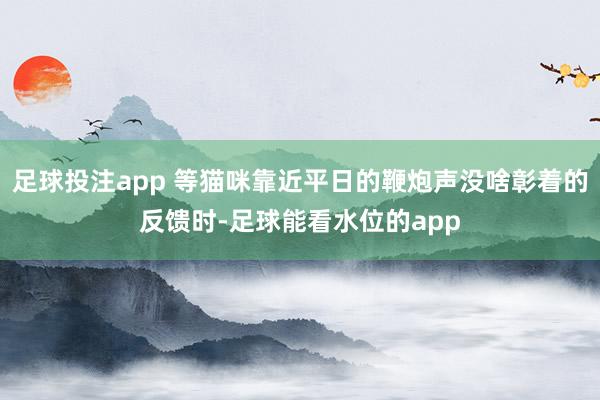 足球投注app 等猫咪靠近平日的鞭炮声没啥彰着的反馈时-足球能看水位的app