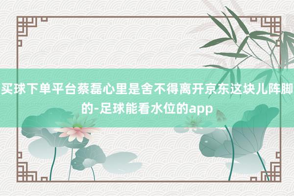 买球下单平台蔡磊心里是舍不得离开京东这块儿阵脚的-足球能看水位的app