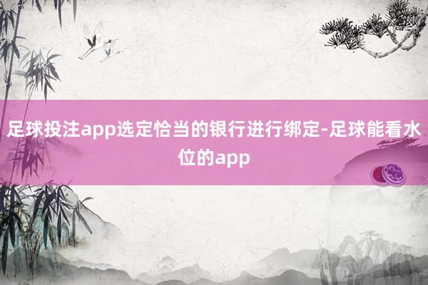 足球投注app选定恰当的银行进行绑定-足球能看水位的app