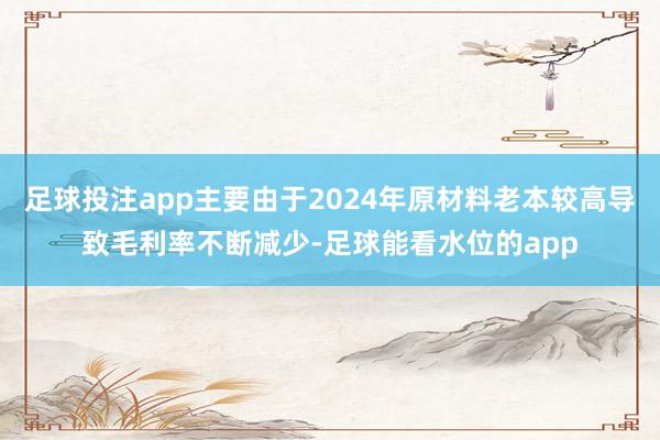 足球投注app主要由于2024年原材料老本较高导致毛利率不断减少-足球能看水位的app