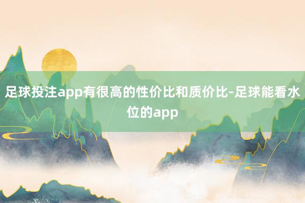 足球投注app有很高的性价比和质价比-足球能看水位的app