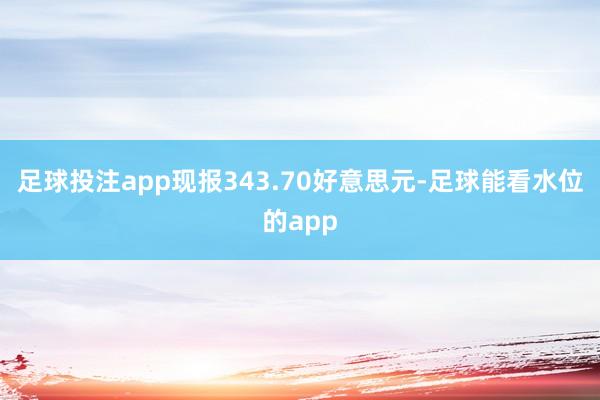足球投注app现报343.70好意思元-足球能看水位的app