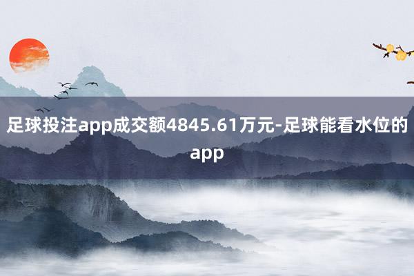 足球投注app成交额4845.61万元-足球能看水位的app