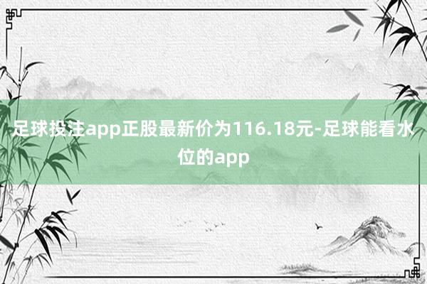 足球投注app正股最新价为116.18元-足球能看水位的app