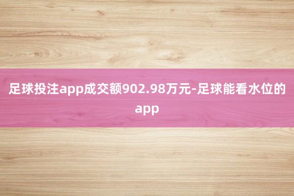 足球投注app成交额902.98万元-足球能看水位的app