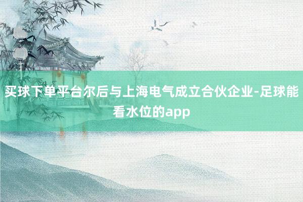 买球下单平台尔后与上海电气成立合伙企业-足球能看水位的app