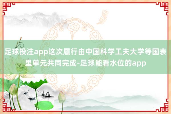 足球投注app这次履行由中国科学工夫大学等国表里单元共同完成-足球能看水位的app