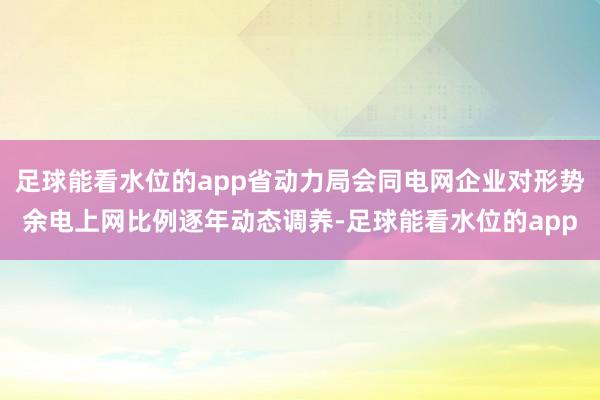 足球能看水位的app省动力局会同电网企业对形势余电上网比例逐年动态调养-足球能看水位的app