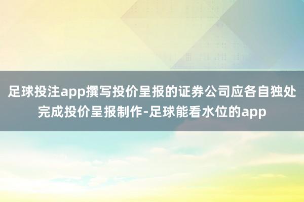 足球投注app撰写投价呈报的证券公司应各自独处完成投价呈报制作-足球能看水位的app