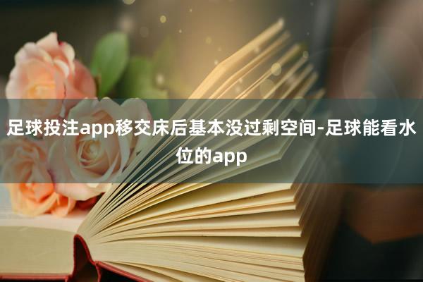 足球投注app移交床后基本没过剩空间-足球能看水位的app
