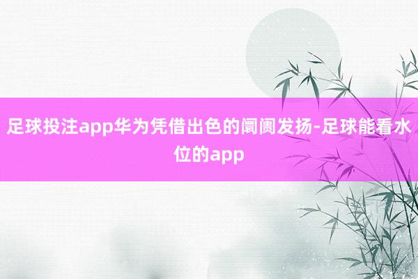 足球投注app华为凭借出色的阛阓发扬-足球能看水位的app