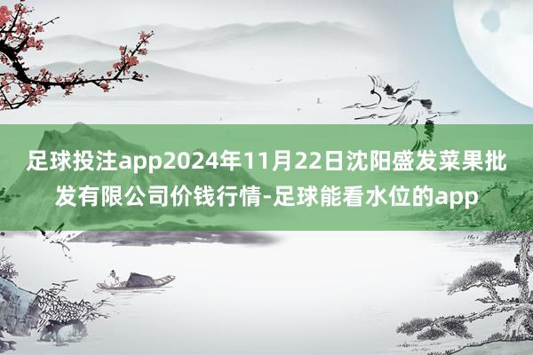 足球投注app2024年11月22日沈阳盛发菜果批发有限公司价钱行情-足球能看水位的app