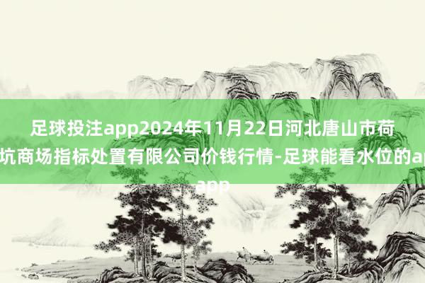 足球投注app2024年11月22日河北唐山市荷花坑商场指标处置有限公司价钱行情-足球能看水位的app