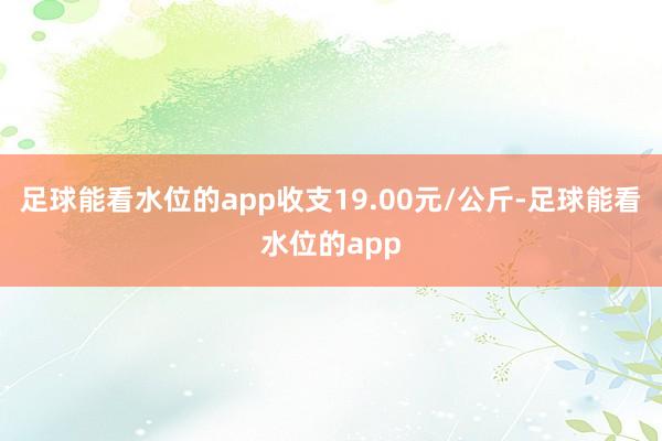 足球能看水位的app收支19.00元/公斤-足球能看水位的app