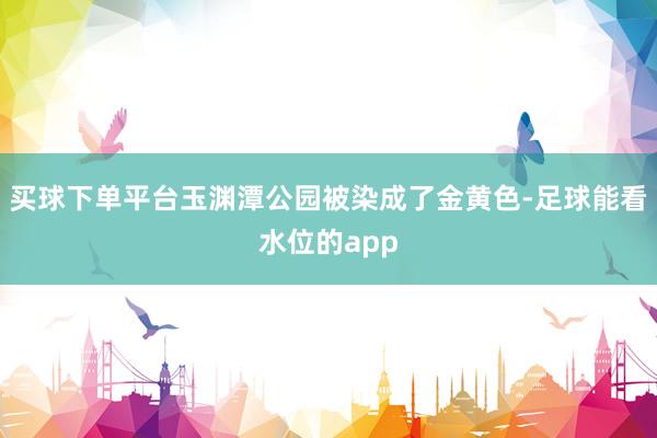 买球下单平台玉渊潭公园被染成了金黄色-足球能看水位的app