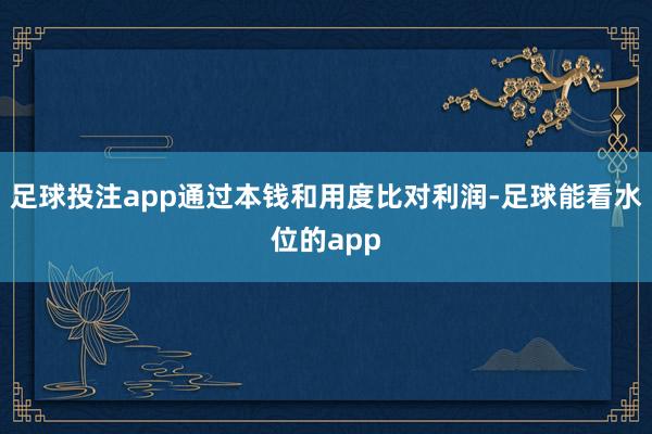 足球投注app通过本钱和用度比对利润-足球能看水位的app