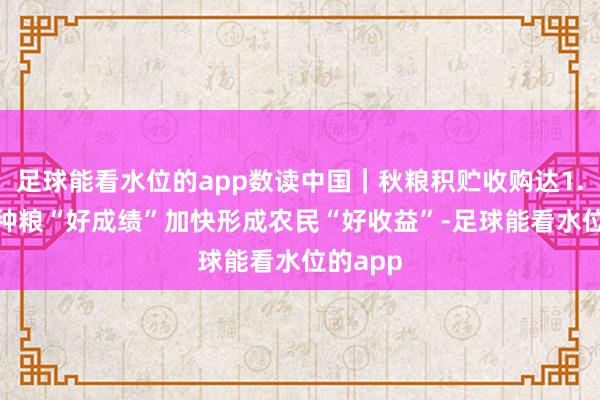足球能看水位的app数读中国｜秋粮积贮收购达1.2亿吨 种粮“好成绩”加快形成农民“好收益”-足球能看水位的app