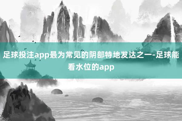 足球投注app最为常见的阴部特地发达之一-足球能看水位的app