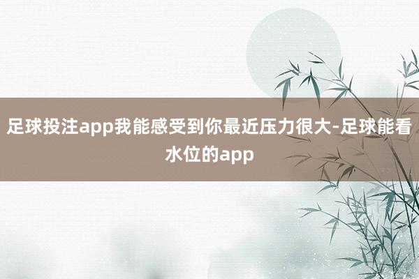 足球投注app我能感受到你最近压力很大-足球能看水位的app
