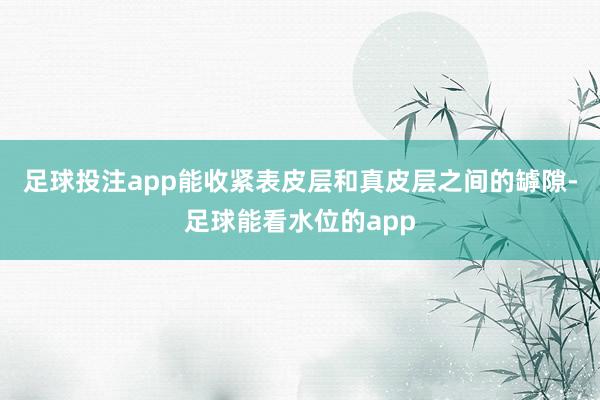 足球投注app能收紧表皮层和真皮层之间的罅隙-足球能看水位的app