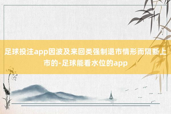 足球投注app因波及来回类强制退市情形而隔断上市的-足球能看水位的app