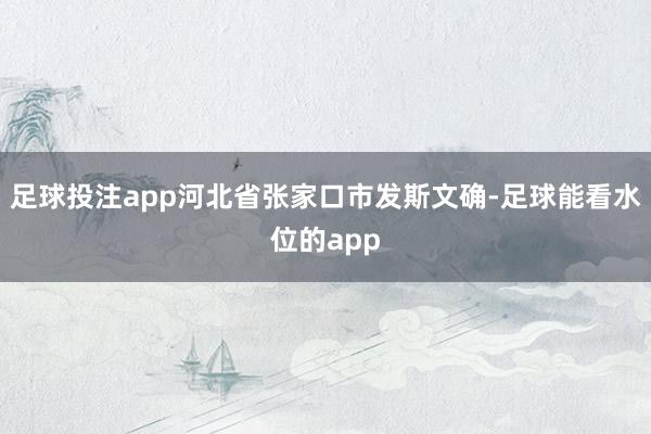 足球投注app河北省张家口市发斯文确-足球能看水位的app