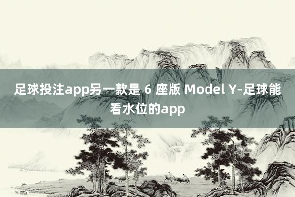 足球投注app另一款是 6 座版 Model Y-足球能看水位的app