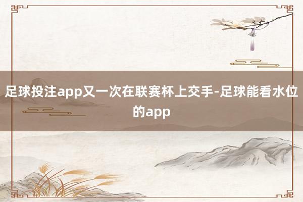 足球投注app又一次在联赛杯上交手-足球能看水位的app