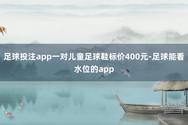 足球投注app一对儿童足球鞋标价400元-足球能看水位的app