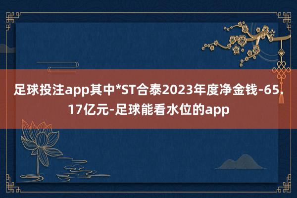 足球投注app其中*ST合泰2023年度净金钱-65.17亿元-足球能看水位的app