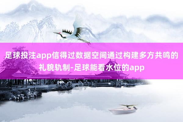 足球投注app信得过数据空间通过构建多方共鸣的礼貌轨制-足球能看水位的app