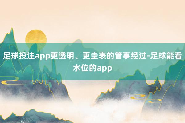 足球投注app更透明、更圭表的管事经过-足球能看水位的app